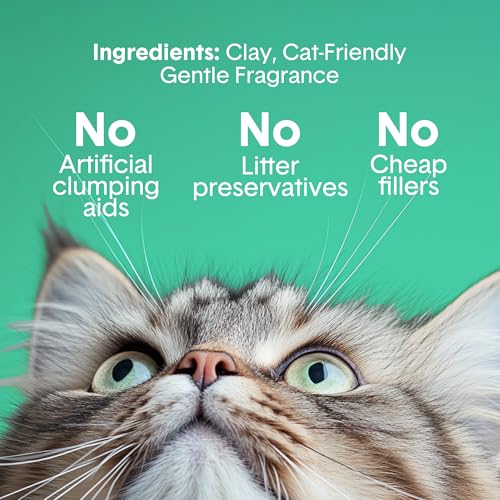 Boxie Premium Scented Clumping Cat Litter 30+ Day Odor Control 28 lb (28 lb)