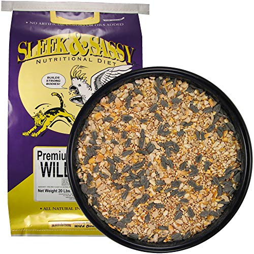 Premium Wild Bird Food (1 Count (Pack of 1))