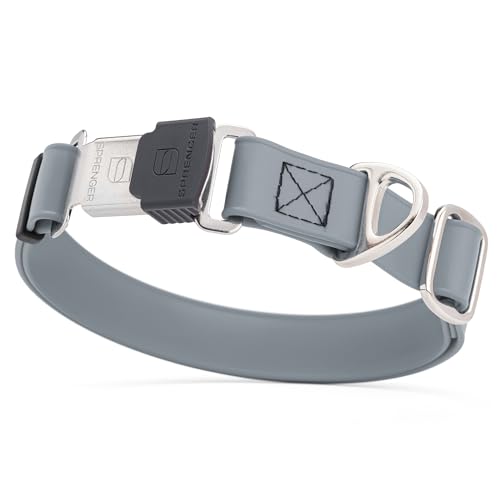 Biothane Waterproof Dog Collar with Herm Sprenger Black Stainless Steel Quick Release Buckle (W 1" x L 15"-25" / Battleship Gray)