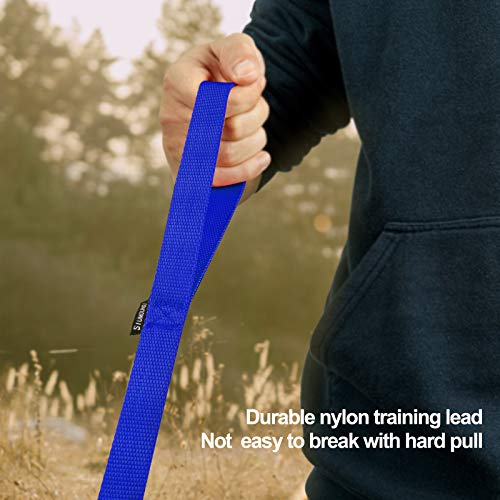 Dog Puppy Obedience Recall Training Agility Lead (Blue / 50 Feet)