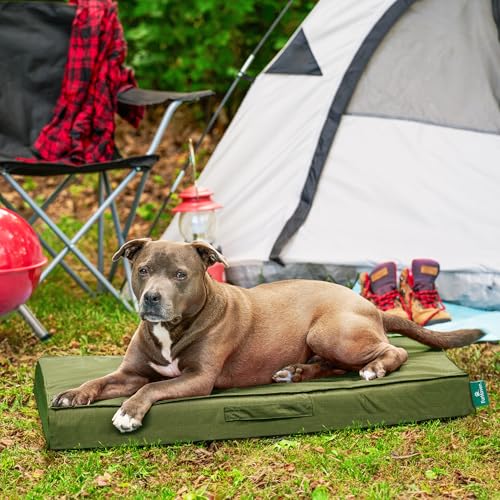Cooling Dog Bed (Large / Green)