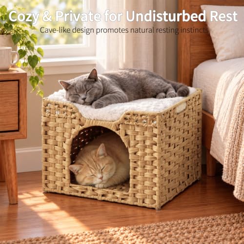 Cat Beds Indoor Kitten House (Natural / Rectangle-M)