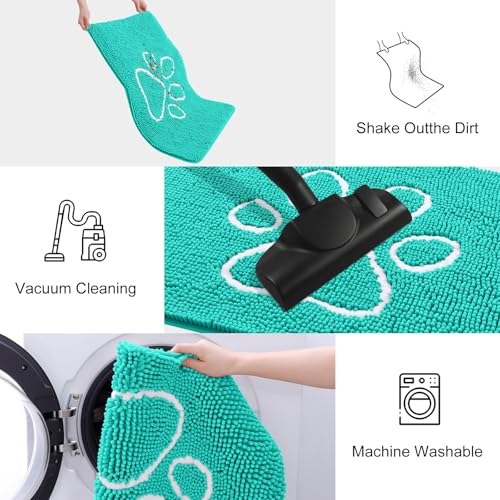 Dog Door Mat for Muddy Paws (24"X16" / Turquoise and White)