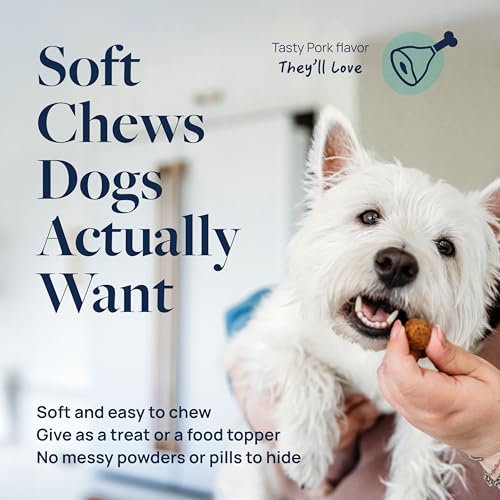 Smart Vitality Dental Support Dog Soft Chews (60 ct / Dental Support)