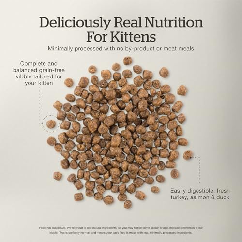 Kitten Dry Cat Food (3 Pound (Pack of 1))