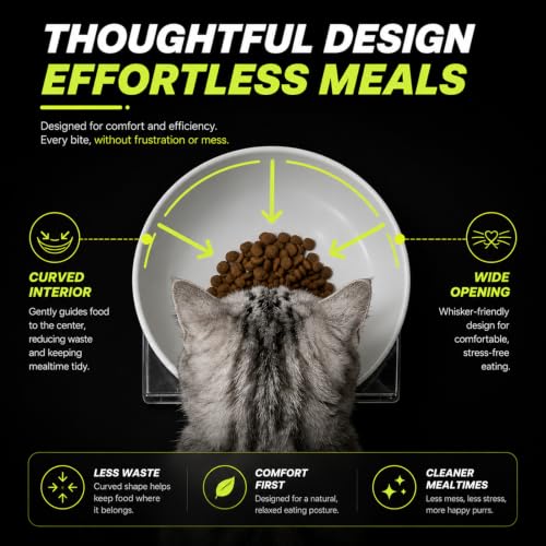 Elevated Cat Bowls (20LBS-3Pack-White-1)