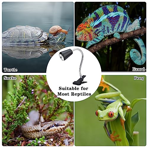 Reptile Heat Lamp Bulbs 110V (Light Stand With Dimmer)