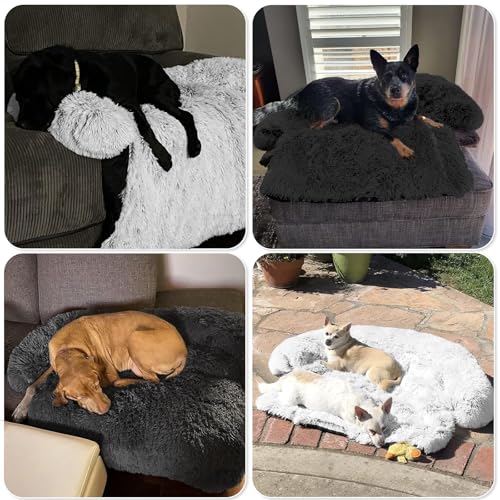 Calming Dog Bed Fluffy Plush Dog Mat for Furniture Protector with Removable Washable Cover for Large Medium Small Dogs and Cats (Dark Grey / 53.0"L x 39.3"W x 6.0"Th)