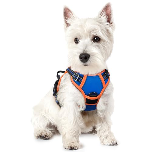 Dog Harness No Pull for Small Dogs with 2 Leash Clips (X-Small / Blue & Orange)