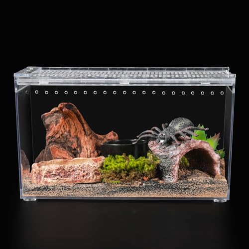 Escape Proof Tarantula Enclosure Hermit Crab Tank Spider Terrarium (M-Only Terrarium)