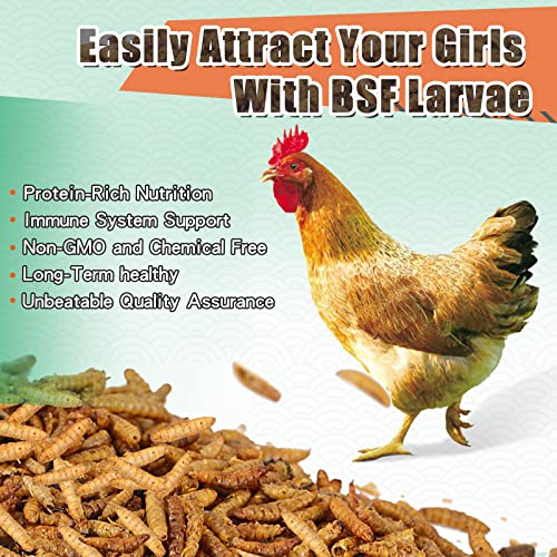 10lb Dried Black Soldier Fly Larvae for Chickens Hen High Protein Duck Food (10 Pound (Pack of 1))