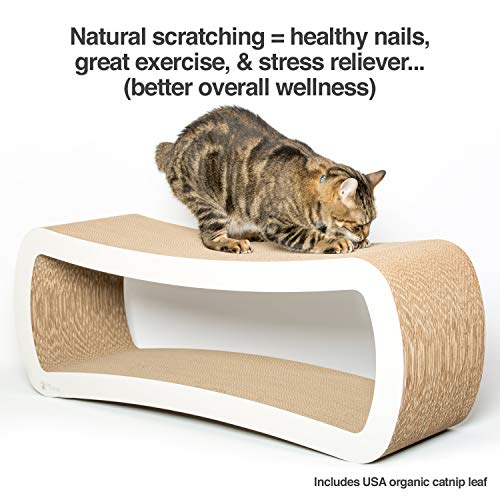 Jumbo Cat Scratcher Lounge