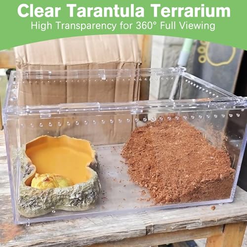 Reptile Terrarium Enclosure 8"x6"x4" Acrylic Tarantula Breeding Box Magnetic Hermit Crab Habitat Transparent Jumping Spider Cage for Insect Snail Amphibians Sling Isopods (S: Standard Version)