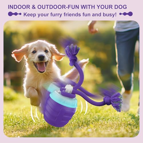 Interactive Dog Toy (Purple / Medium/Large)