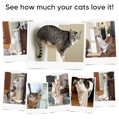 Cat Scratching Post for Indoor Cats (Black and White)