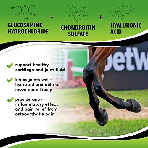 SynoStride Joint & Hoof Supplement for Horses (60 Doses)
