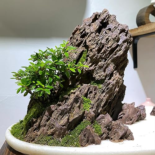Natural Stone 10lb Fish Tank Rock for Aquarium Landscaping Models Fish Tank Decoration (10LB(2-6 inches))