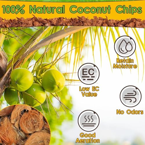 2 Pack Coconut Husk for Reptiles (2 Pack)