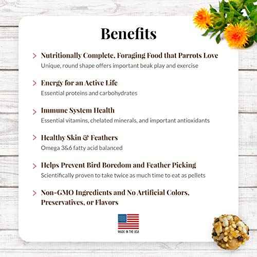 Classic Nutri (10 Ounce (Pack of 1))