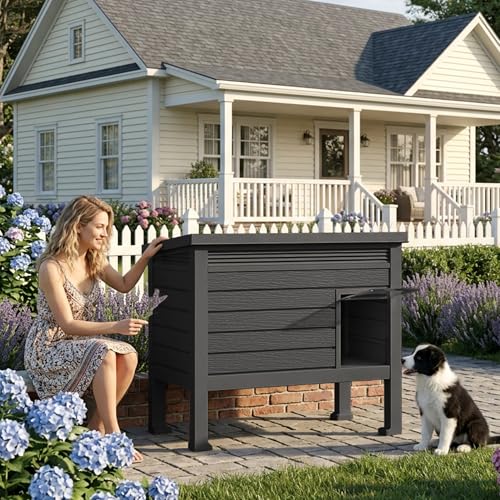Indoor & Outdoor Resin Dog House with Raised Floor (Black-H / 31.02*19.09*26.73)