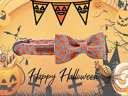 Halloween Dog Collar (Pumpkin / Medium (Pack of 1))