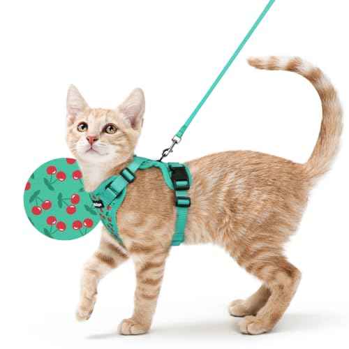 Cat Harness and Leash Set (Xs / Cherry Grove)