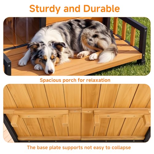 Large Outdoor Dog House W