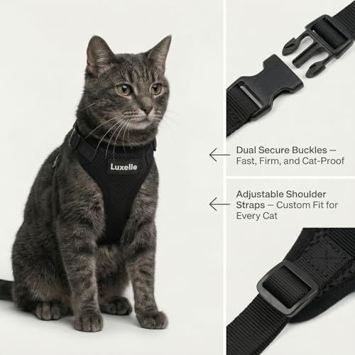 2 Pack Escape (Black / M)