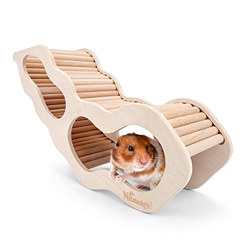 Hamster House w