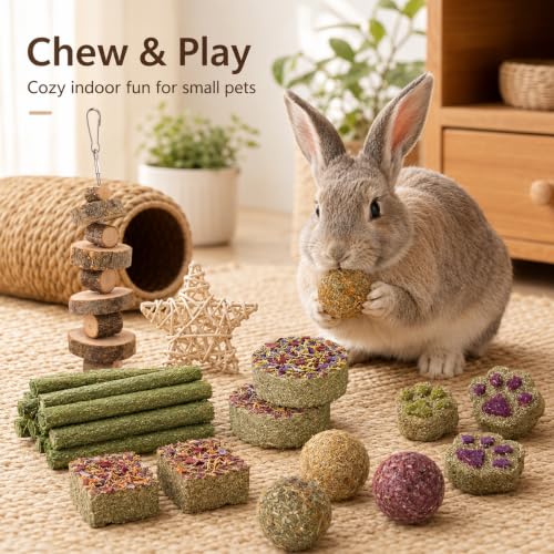 Rabbit Toys Guinea Pig Toys 17Pcs Natural Timothy Hay Bunny Chews and Treats for Hamster Chinchilla Gerbil (17 Pcs)