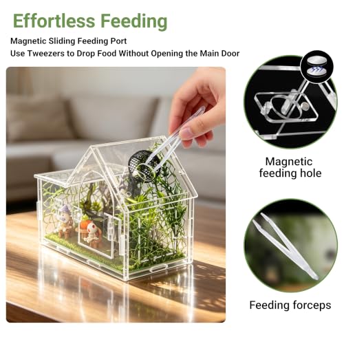 Acrylic Jumping Spider Enclosure Kit 23PCS with Decor (green-Gothic)