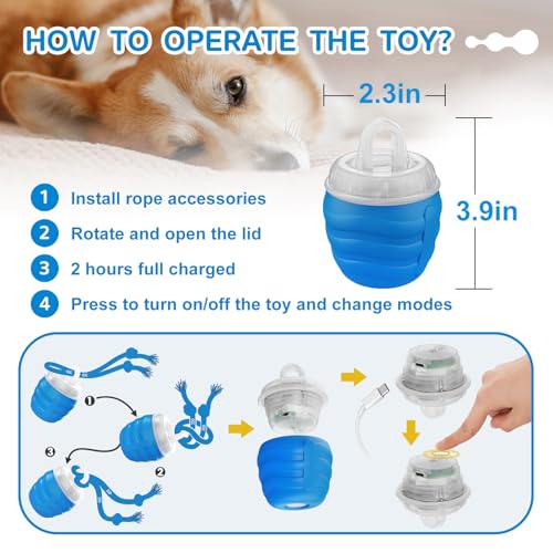 Interactive Dog Toys Ball (Blue / Medium/Large)