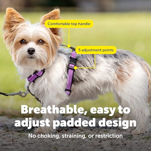 3 in 1 Dog Harness (Plum / Extra Small (Pack of 1))