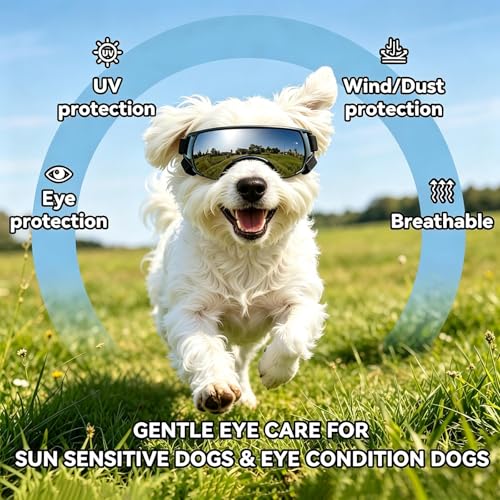 Dog Goggles for Small Dog Doggy Goggles with Adjustable Straps Anti (Cool Silver / Small)