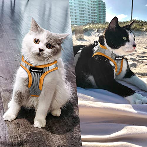 Gray Escape Proof Cat Harness & Leash Set (Gray / XL(Chest 14-16"))