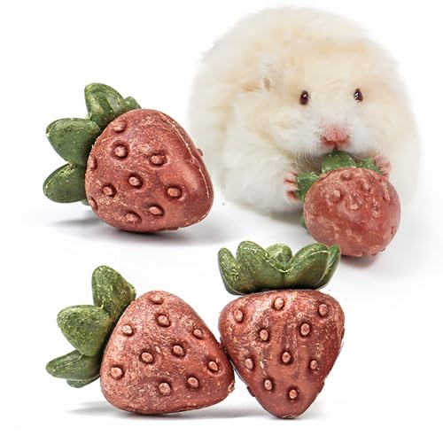 Guinea Pig Toys (4PCS-Strawberry)