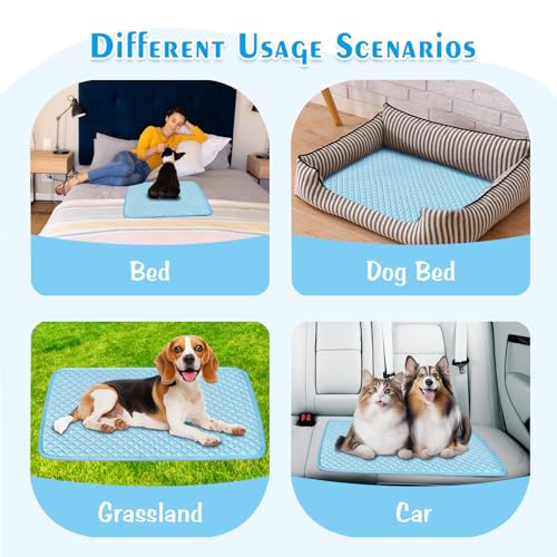 Dog Cooling Mat (Blue / Medium)