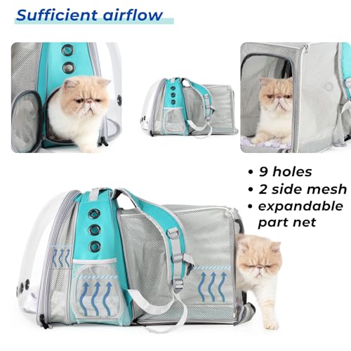 Expandable Bubble Cat Carrier Backpack (Square Back Expandable-Green)