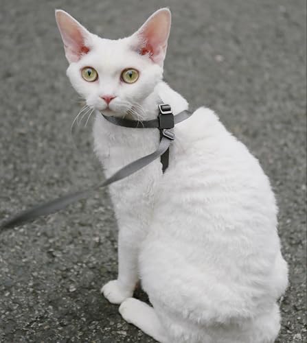 Cat Harness Escape (Midnight Black / M (17.7"))