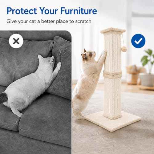 Cat Scratching Post for Indoor Cats (Cream Beige)