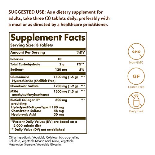 Glucosamine Hyaluronic Acid Chondroitin MSM (60 Count (Pack of 1))