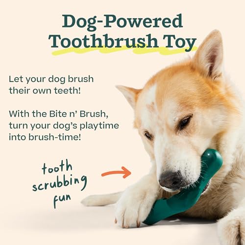 Bite n' Brush Dog Dental Sticks