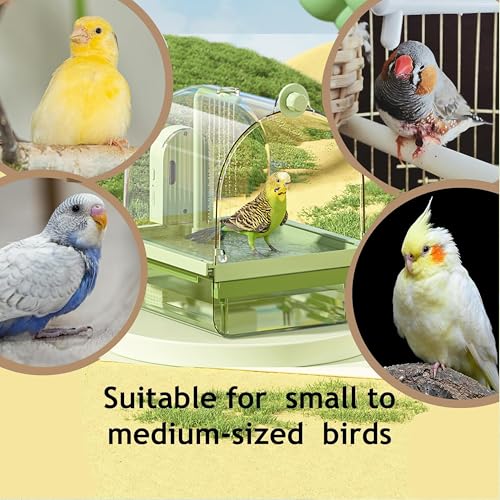 Bird Bath for Cage with Pump (Green-B)