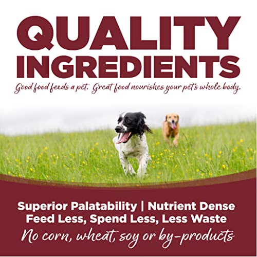 Adult Dry Dog Food (26 Pound (Pack of 1))