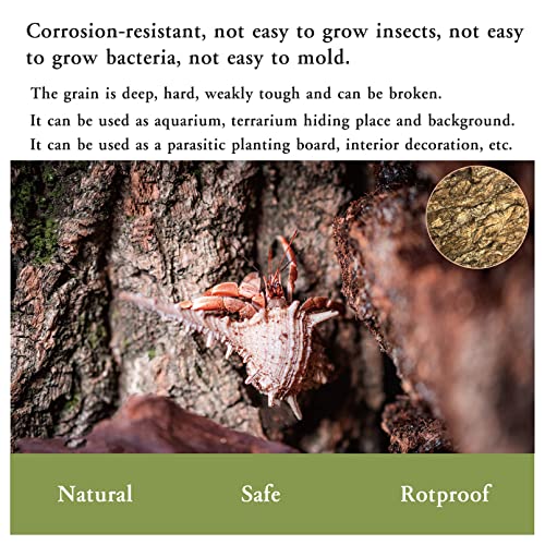 2PCS Cork Terrarium Background (2Pcs-11.8”x7.9”)