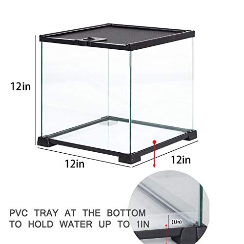 REPTIZOO Small Glass Tank 8 Gallon (12"W X 12"D X 12"H (8 Gallon))