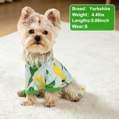 Dog Pajamas Banana Graphics (Banana / X-Small（1-2 lb))