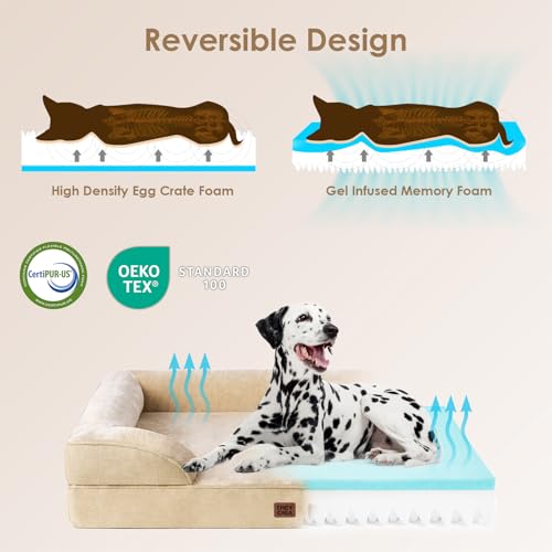 Orthopedic Dog Beds Large Sized Dog (Graige / 36.0"l X 27.0"w X 6.5"th)