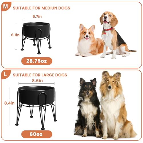 Elevated Dog Bowls (Black / 7.6 Cups | 2 Pack | For Large Dogs)