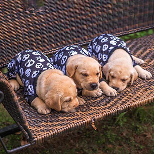 Dog Halloween Pajamas Puppy Onesies Small Dogs Soft Pjs Coat Cat Apparel Comfy Pet Christmas Clothes Outfit Doggie Bodysuit (X-Small / Skulls)